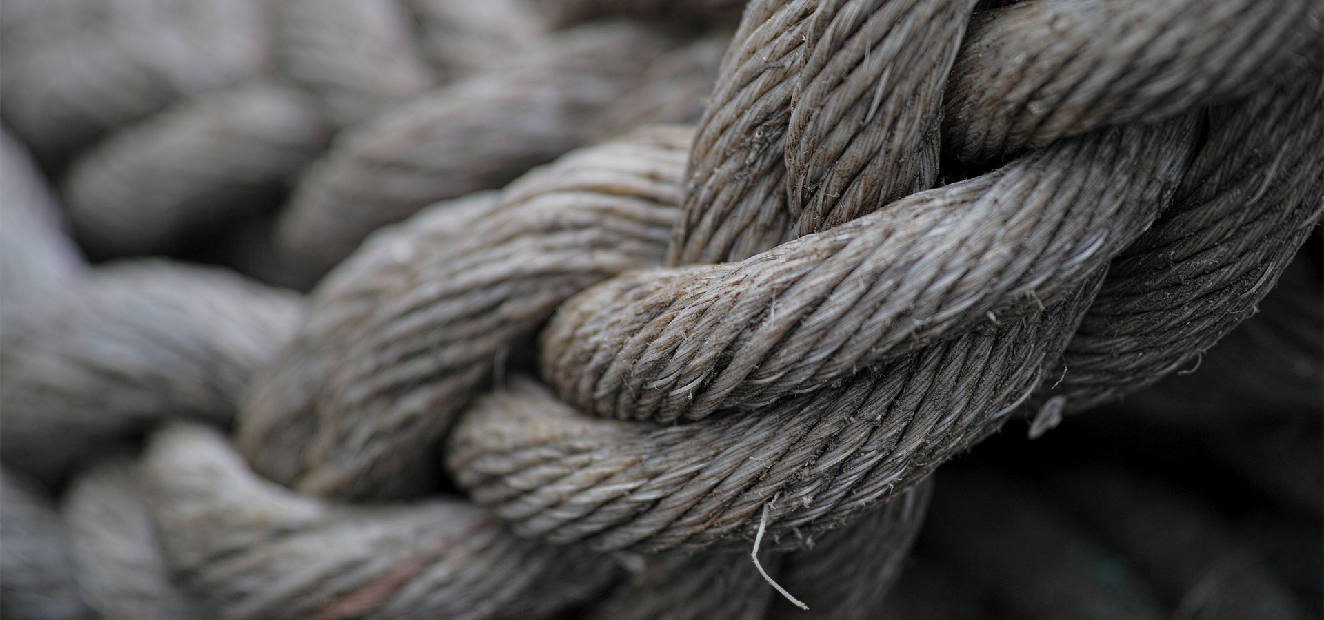 Rope in the background of the KPI (Photo)