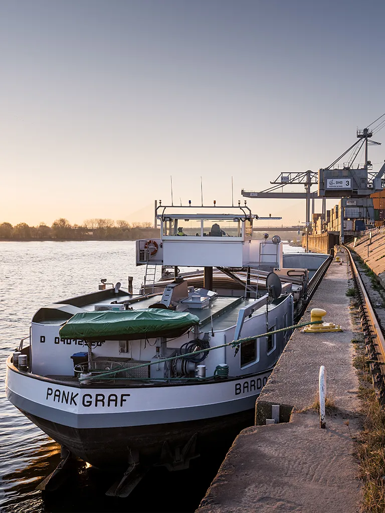 Boat at the harbor at sunset (Photo)